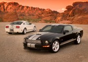 Shelby Cobra GT500 Show Car